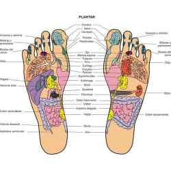 REFLEXOLOGIA PODAL